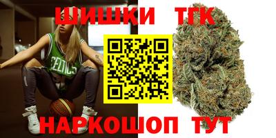 сатива Малгобек