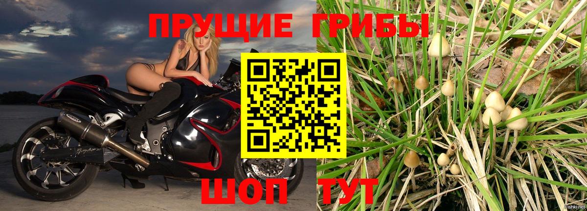 Псилоцибиновые грибы мицелий Чита
